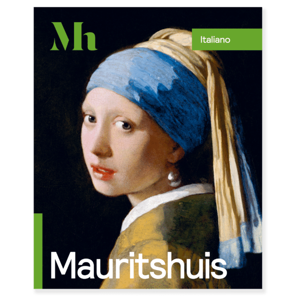 Gids Mauritshuis IT