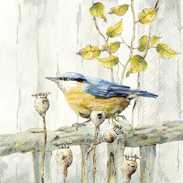 Servetten L KANTORI cream