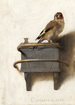 3D kaart Het Puttertje