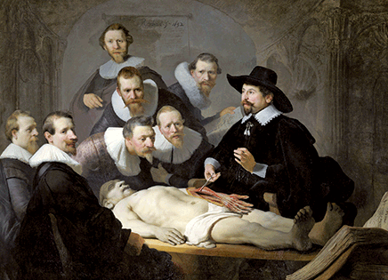 3D kaart Anatomische les