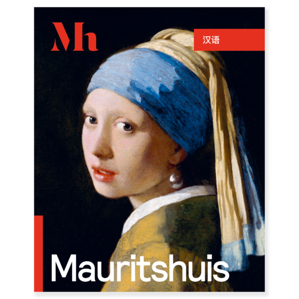 Gids Mauritshuis CH