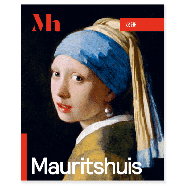 Gids Mauritshuis (Chinese)