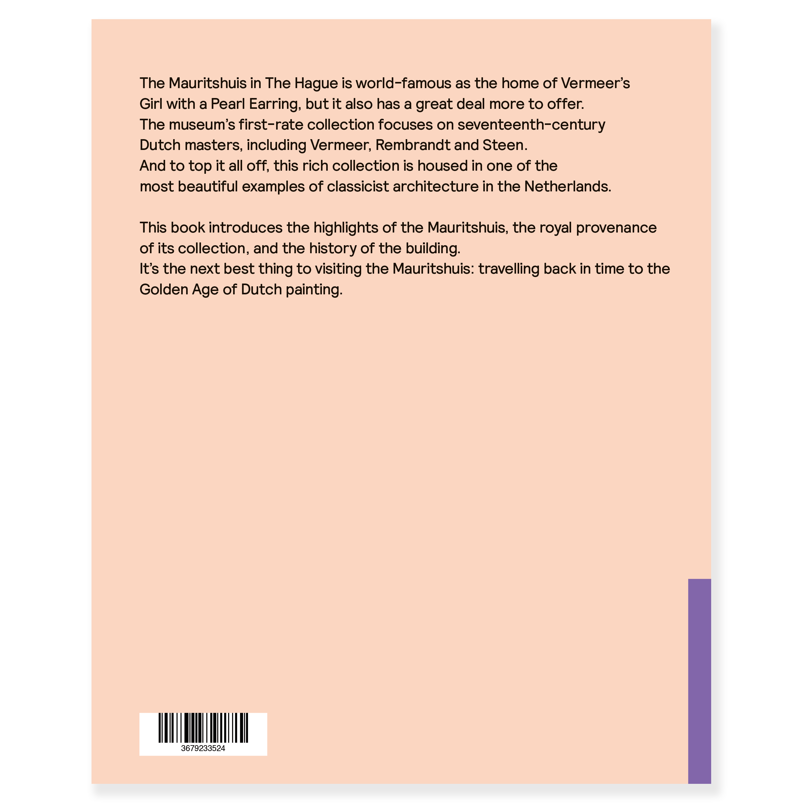 Gids Mauritshuis (Engels)