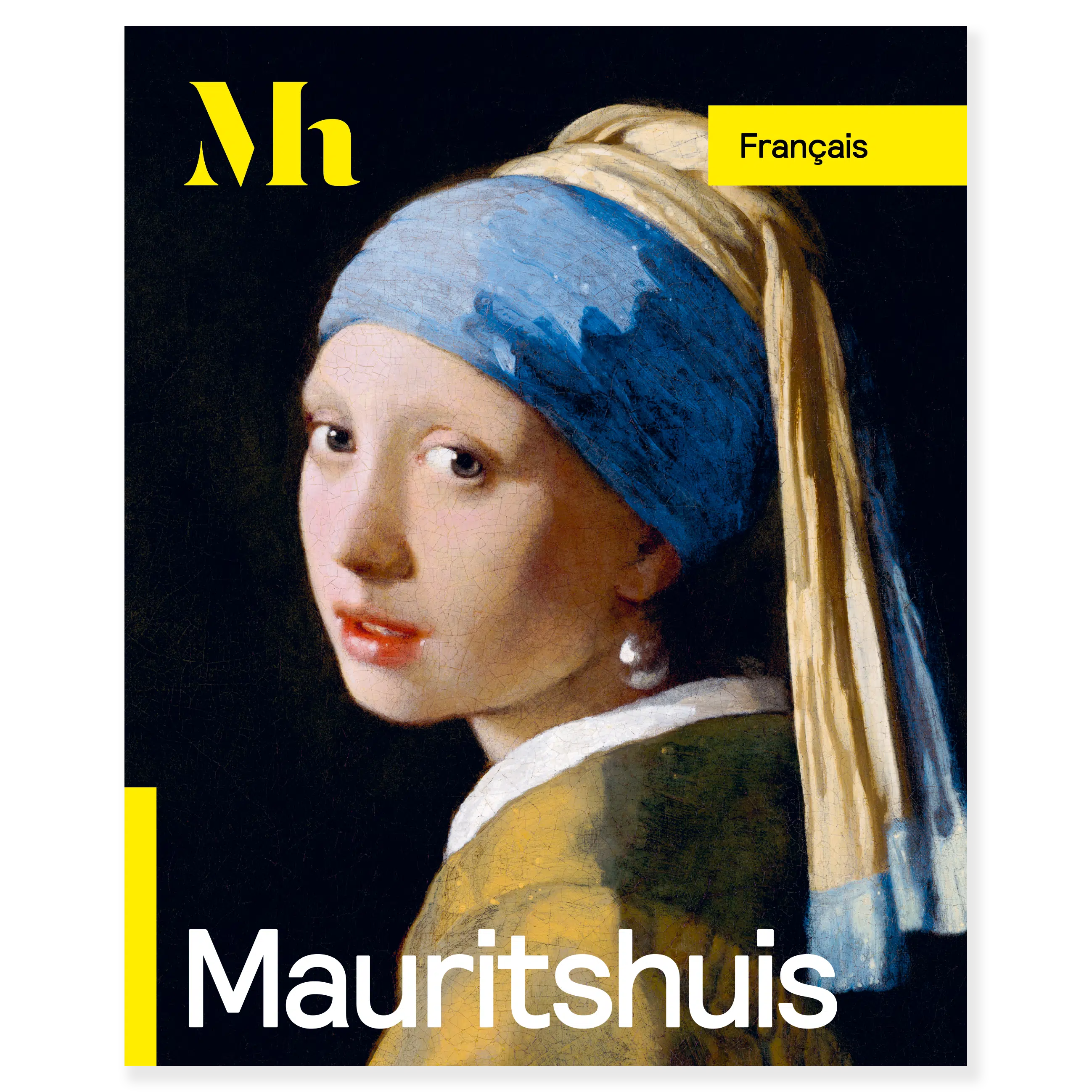 Gids Mauritshuis (Frans)