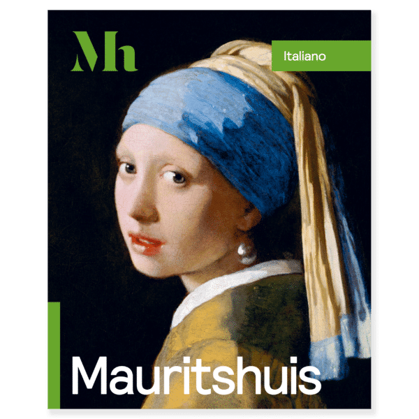 Gids Mauritshuis (Italian)