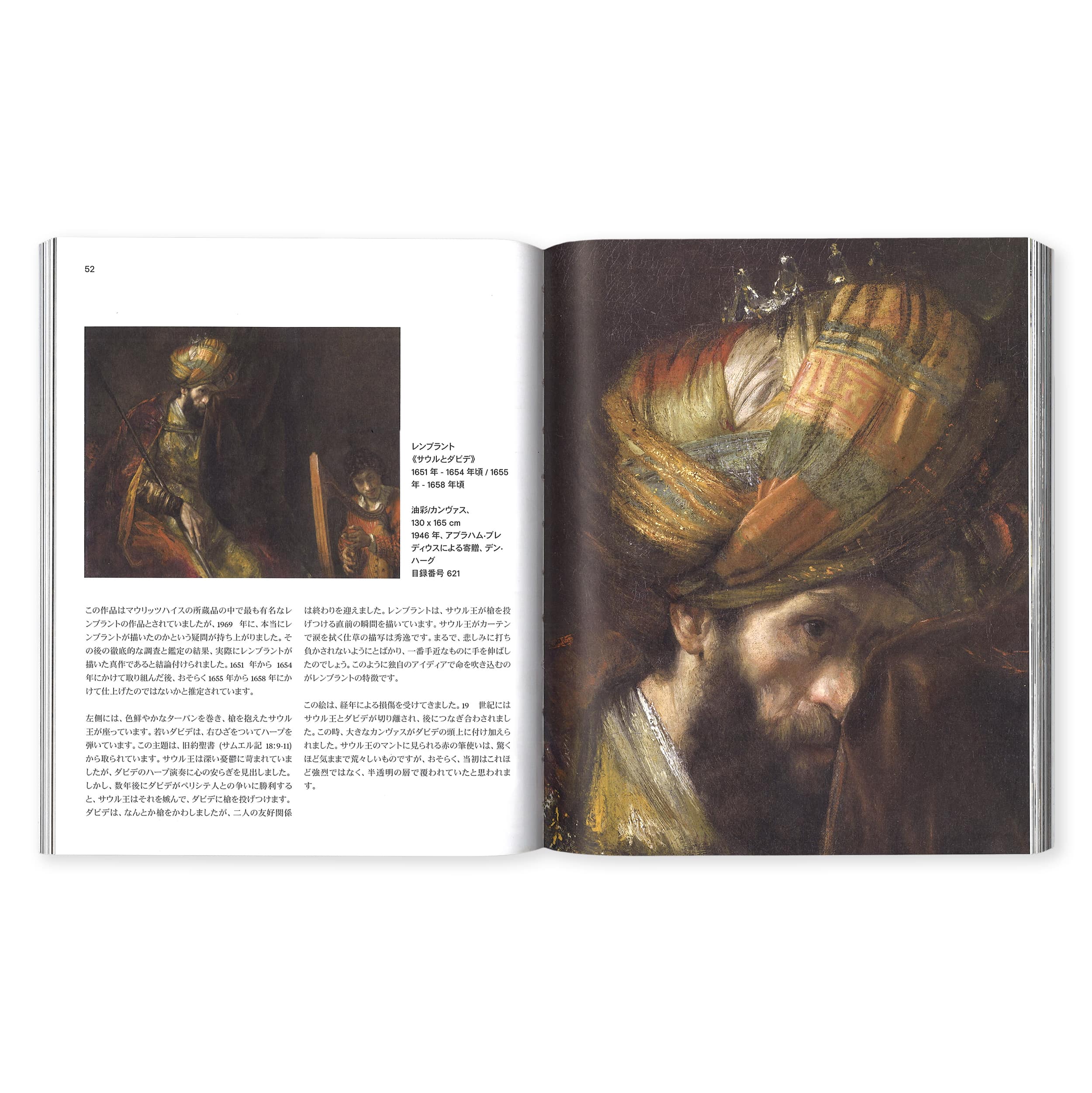 Gids Mauritshuis (Japans)