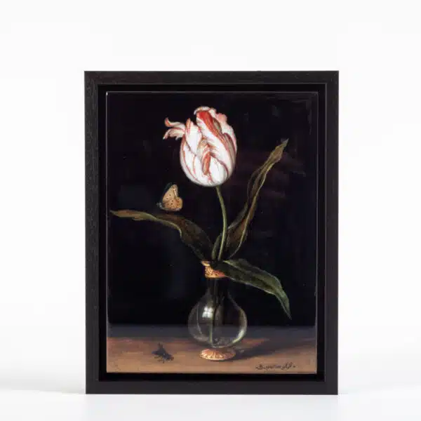 Tegel Tulp 20 x 15 in lijst