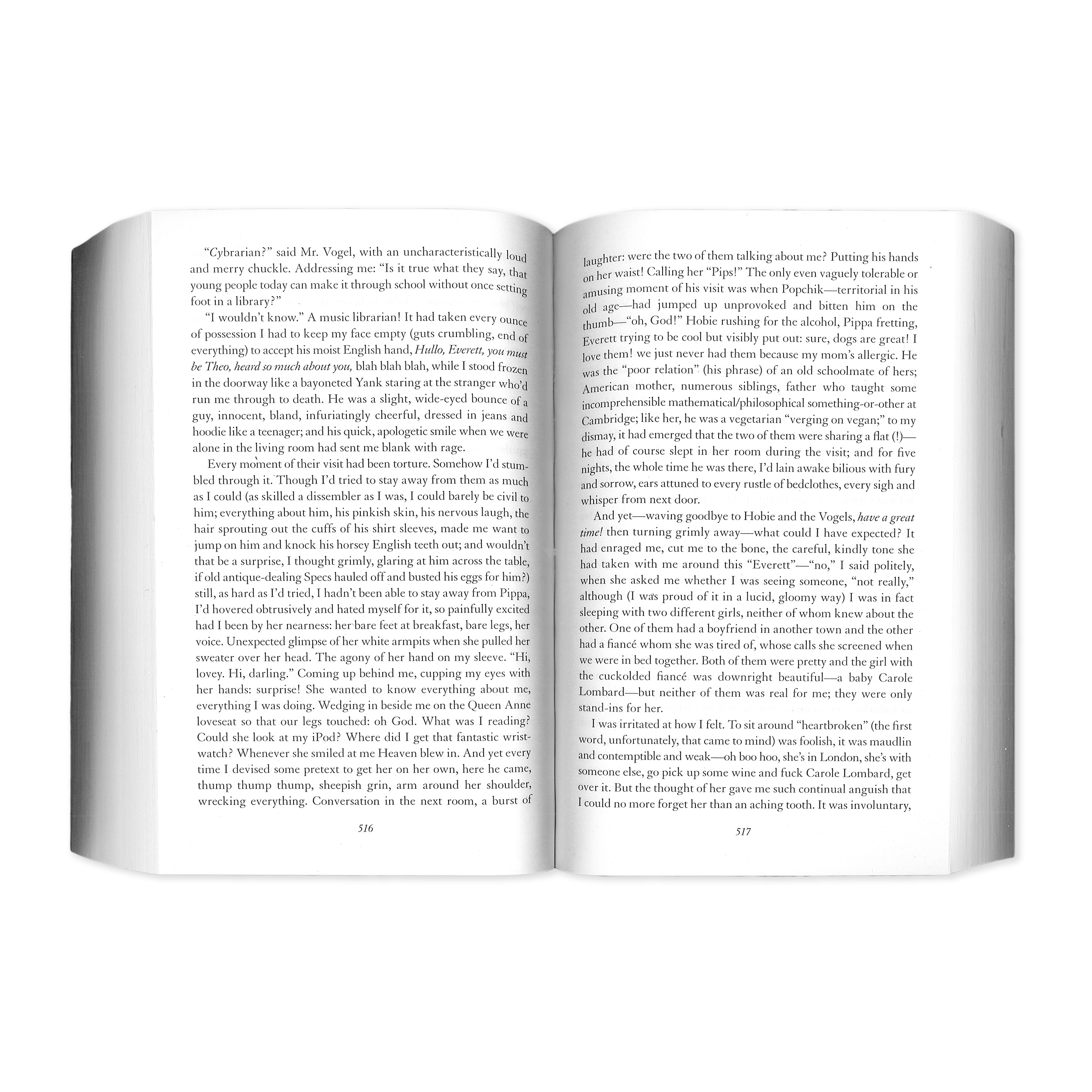 The Goldfinch (Engels)