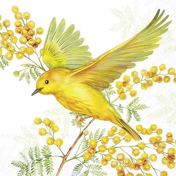 Cocktail Servetten JOY OF SPRING light green