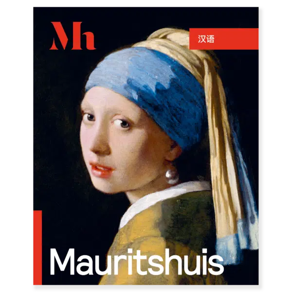 Gids Mauritshuis (Chinees)