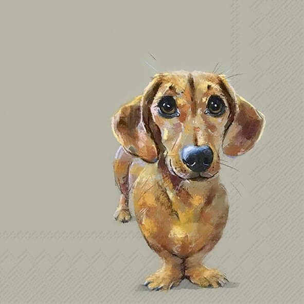 Lunch Servetten DOG BUDDY linen