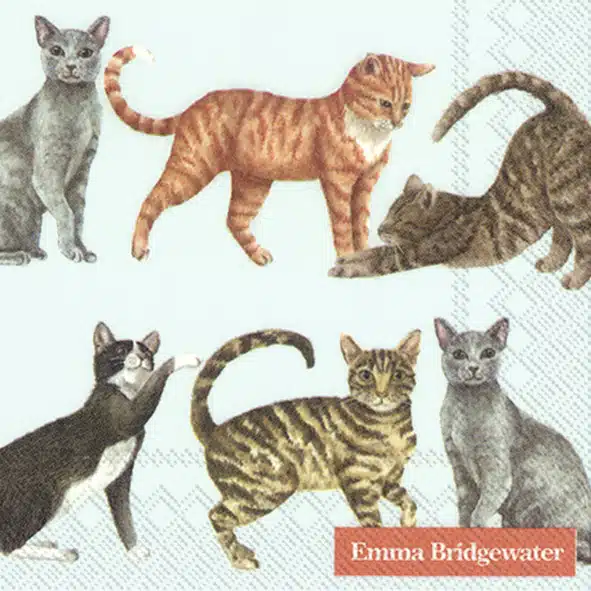 Servetten C Cats light blue