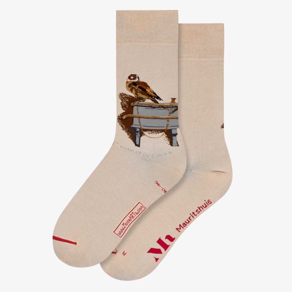 Sokken The Goldfinch