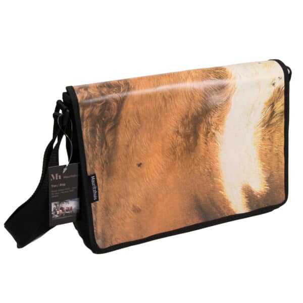 Tas De Stier