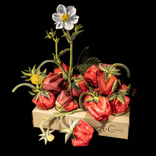 Vouwaardbeien Coorte