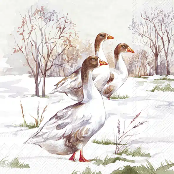 WINTER GEESE